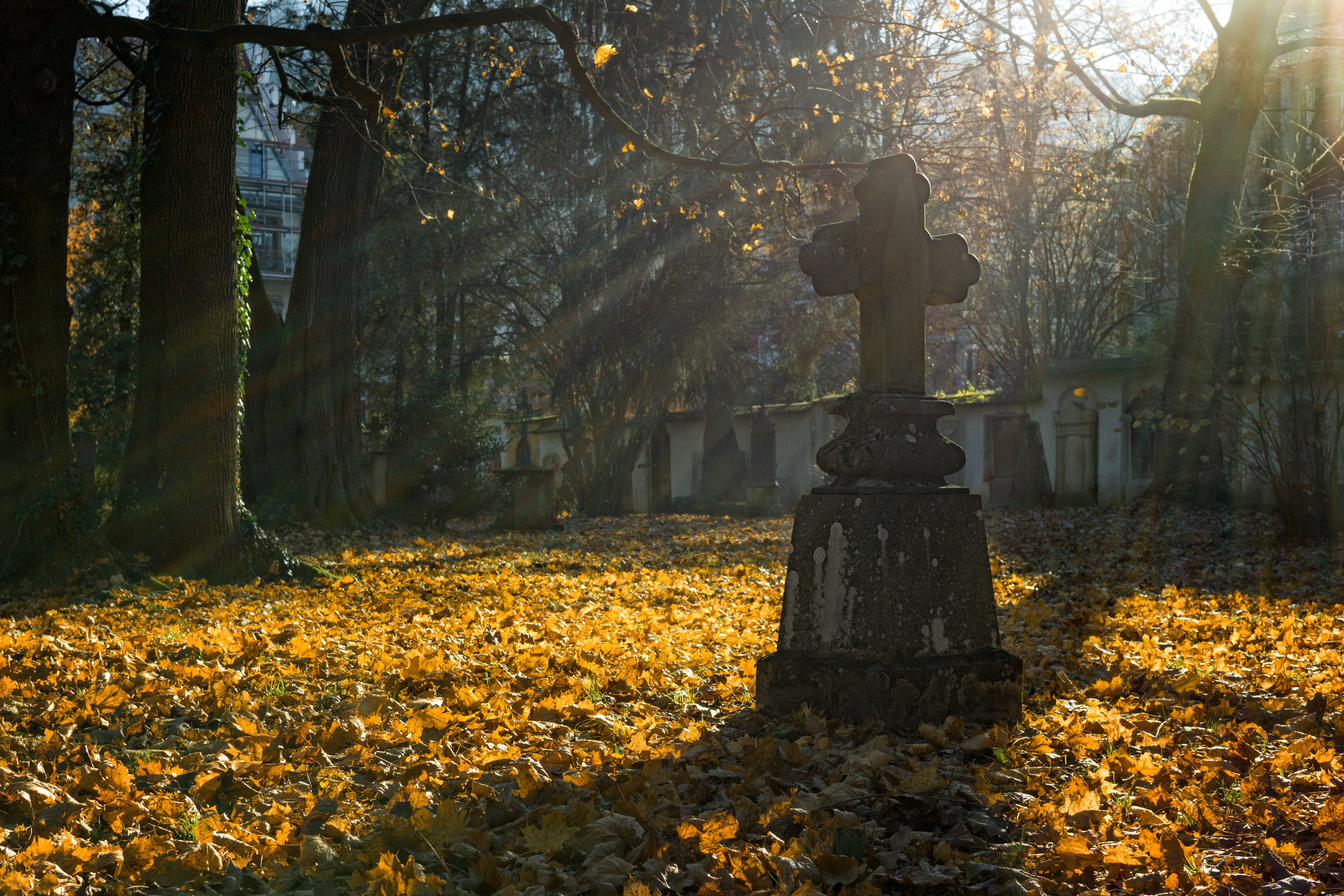 Servizi Cimiteriali